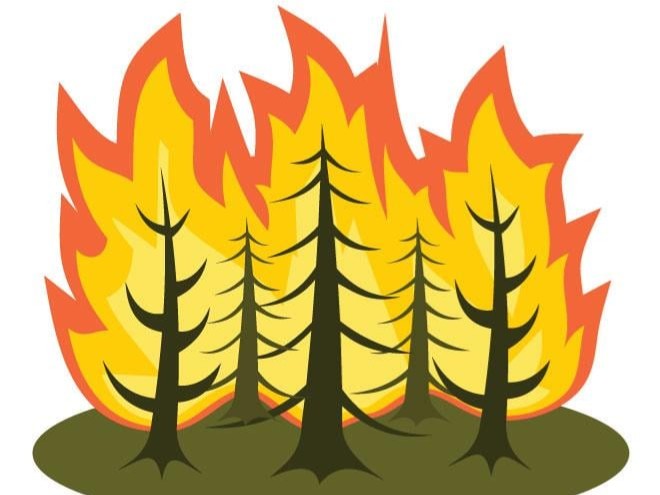 INCENDI BOSCHIVI